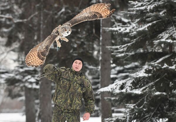 Defending the Kremlin: Hawks, Falcons and Owls in Service - Sputnik International