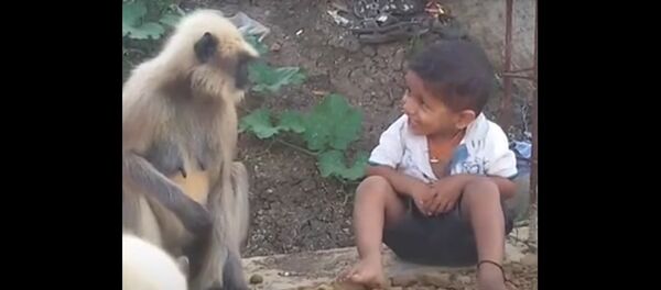 Future Tarzan from India Future Tarzan from India - Sputnik International