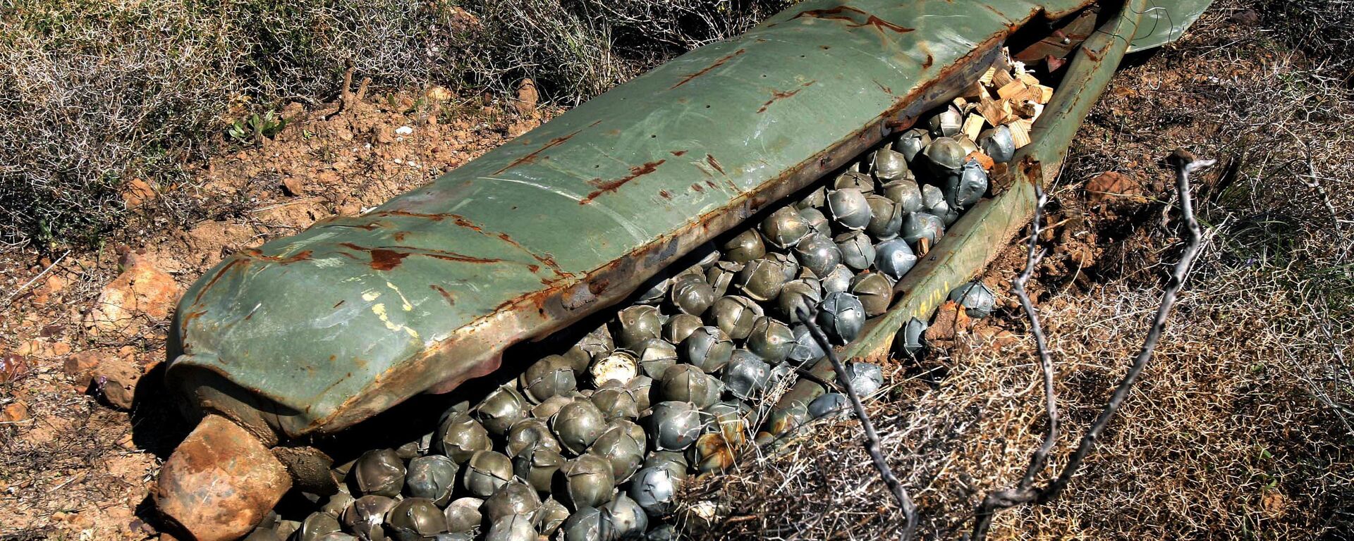 A cluster bomb  - Sputnik International, 1920, 07.03.2023