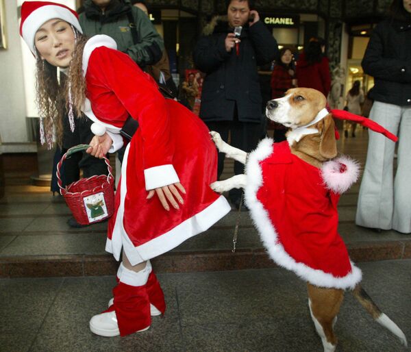 Ho-Ho-Hot! Ladies From Around the World Grace Santa Claus Costumes - Sputnik International