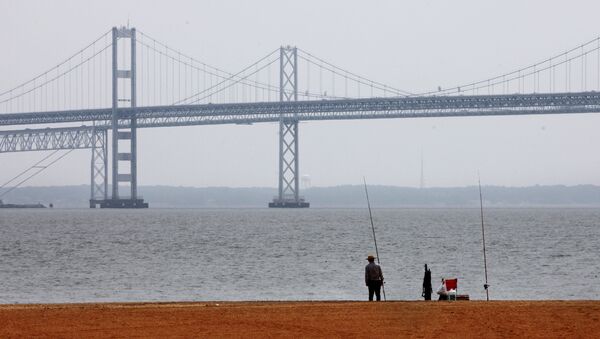 A man looks out over the Chesapeake Bay, with the Bay Bridge in the background, at Sandy Point State Park in Annapolis, Md., on Wednesday, May 12, 2010. - Sputnik International