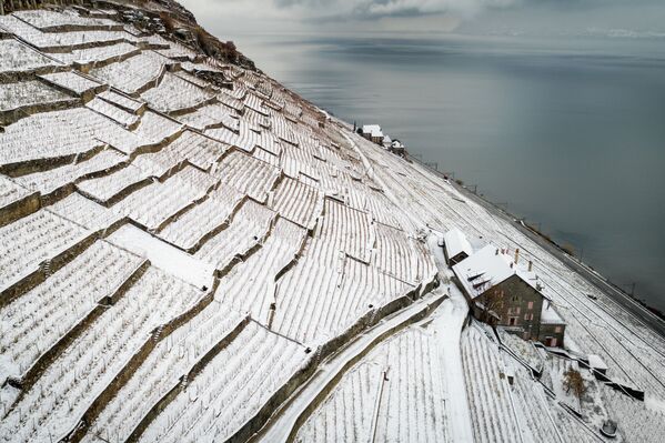 It's the Most Wonderful Time of the Year! Winter Fun Across the Globe - Sputnik International