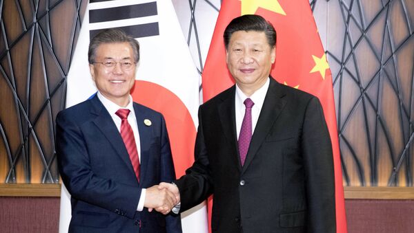 In this Nov. 11, 2017, photo released by China's Xinhua News Agency, South Korean President Moon Jae-in, left, and Chinese President Xi Jinping shake hands as they pose for a photo during a meeting on the sidelines of the Asia-Pacific Economic Cooperation (APEC) Forum in Danang, Vietnam. - Sputnik International