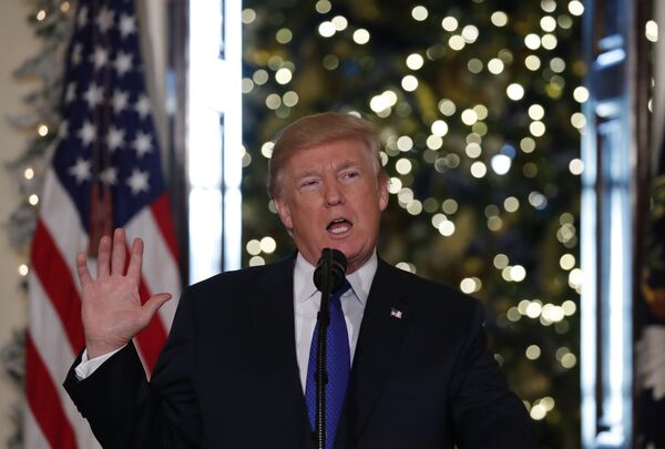 Trump's Tax Plan: 'When US Debt Approaches GDP, That Changes a Lot of Things' Trump's Tax Plan: 'When US Debt Approaches GDP, That Changes a Lot of Things' - Sputnik International