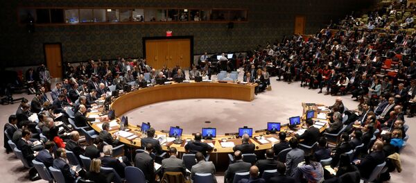 The United Nations Security Council begins a meeting at the United Nations Headquarters in New York, U.S - Sputnik International