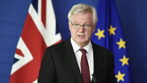 British Secretary of State for Exiting the European Union (Brexit Minister) David Davis - Sputnik International