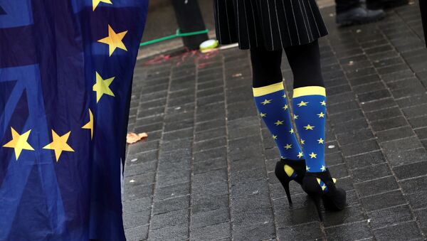 An anti-Brexit protester wears EU flag inspired socks outside the Houses of Parliament in London, Britain, December 13, 2017 - Sputnik International