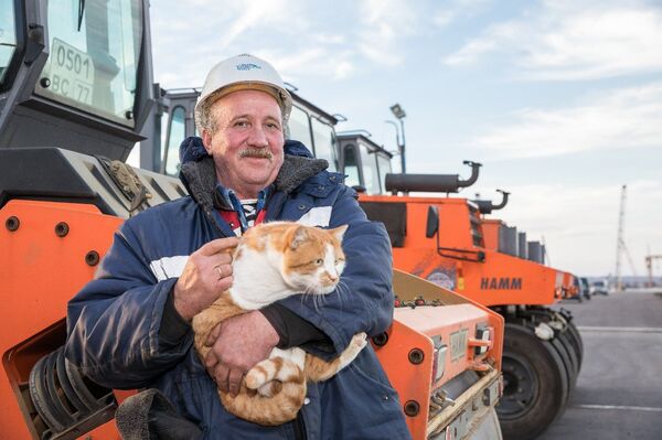Mostik the cat 'inspecting' the paving process - Sputnik International