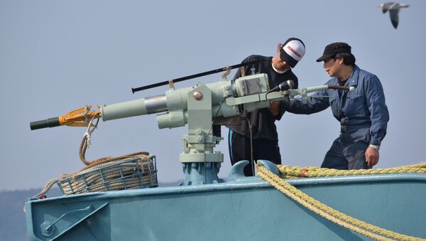 Crew of a whaling ship check a whaling gun or harpoon before departure at Ayukawa port in Ishinomaki City (File) - Sputnik International