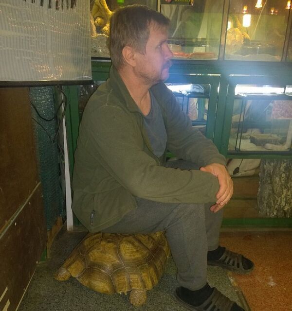 Tortoise - Sputnik International