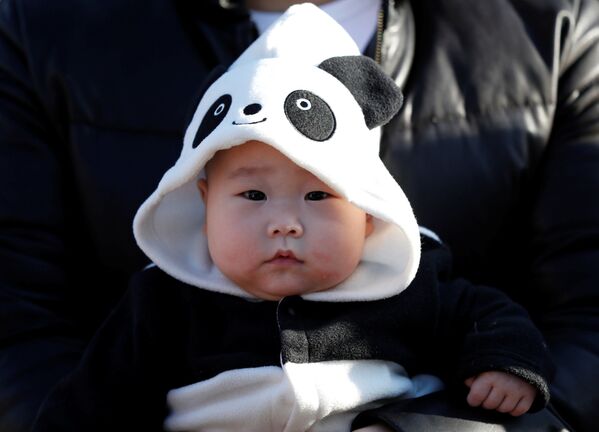 Japan's Sweet Baby Panda Makes Public Debut - Sputnik International