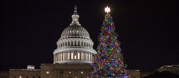 The Capitol Christmas tree is illuminated as lawmakers in the Senate work late into the evening on the Republican tax bill, in Washington, Tuesday, Dec. 19, 2017 The Capitol Christmas tree is illuminated as lawmakers in the Senate work late into the evening on the Republican tax bill, in Washington, Tuesday, Dec. 19, 2017 - Sputnik International