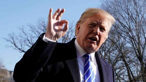 U.S. President Donald Trump gestures as he talks to the media on South Lawn of the White House in Washington, U.S., before his departure to Camp David, December 16, 2017 - Sputnik International