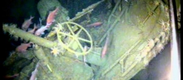 In this undated image provided by the Australian Department of Defense, fish swim around the helm of the Australian submarine HMAS AE1 off the coast of the Papua New Guinea island of New Britain In this undated image provided by the Australian Department of Defense, fish swim around the helm of the Australian submarine HMAS AE1 off the coast of the Papua New Guinea island of New Britain - Sputnik International