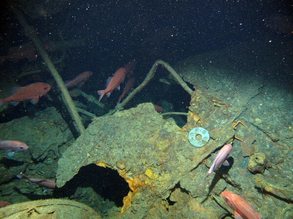 Wreckage of the submarine HMAS AE1 which was located in waters off the Duke of York Island group in Papua New Guinea is seen on a supplied photo released on December 21, 2017 Wreckage of the submarine HMAS AE1 which was located in waters off the Duke of York Island group in Papua New Guinea is seen on a supplied photo released on December 21, 2017 - Sputnik International