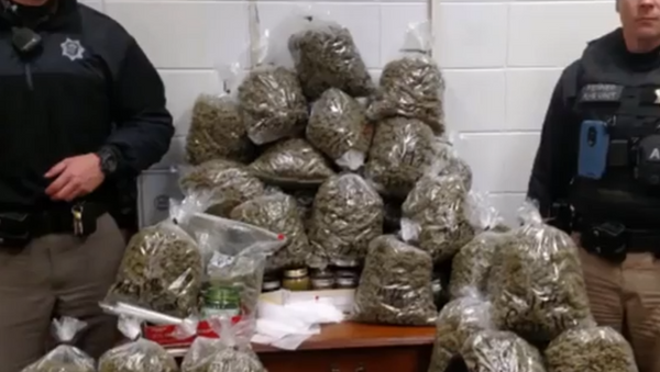 High Holidays? Elderly Couple Arrested With $336K of Pot, Claims it Was Christmas Gifts - Sputnik International