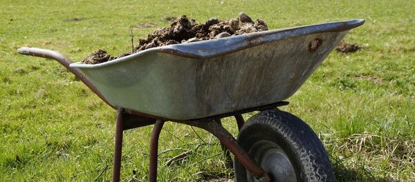 Manure - Sputnik International