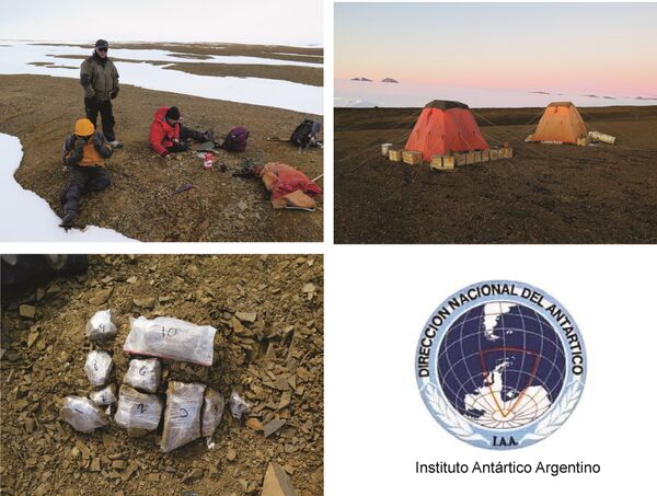 Imágenes de la expedición que encontró los restos de un plesiosaurio de alrededor de 150 millones de años en la península Antártica - Sputnik International