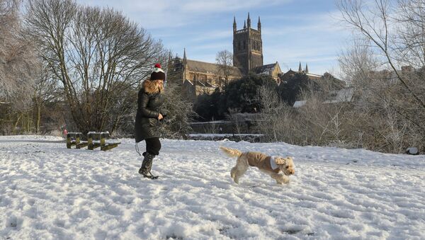A woman takes her dog for a walk along a snow covered path on the banks of the River Seven in Worcester, England, Tuesday Dec. 12, 2017 - Sputnik International