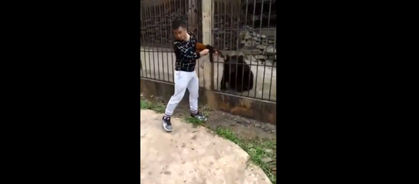Man filmed killing Asiatic Black Bear in Myanmar - Sputnik International