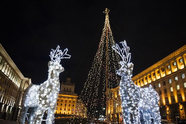 The New Year is Here! Christmas Trees Around the World - Sputnik International
