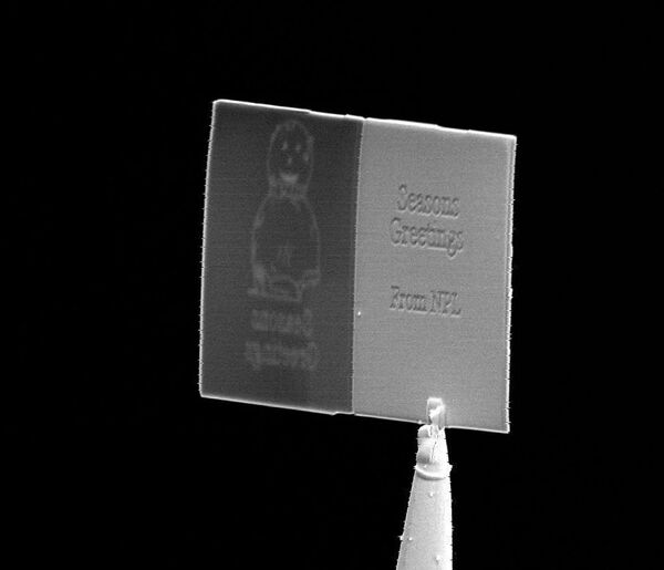 The tiniest holiday greeting card in the world - Sputnik International