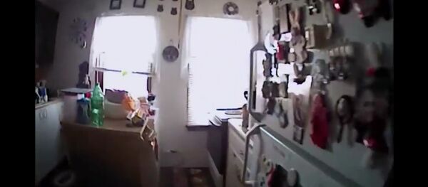 On December 29th, 2017 Brockport Police were called to a residence for a squirrel that had broken into the house, reportedly eating cookies in the kitchen On December 29th, 2017 Brockport Police were called to a residence for a squirrel that had broken into the house, reportedly eating cookies in the kitchen - Sputnik International