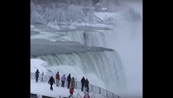 Niagara Falls is Coated in Ice - Sputnik International