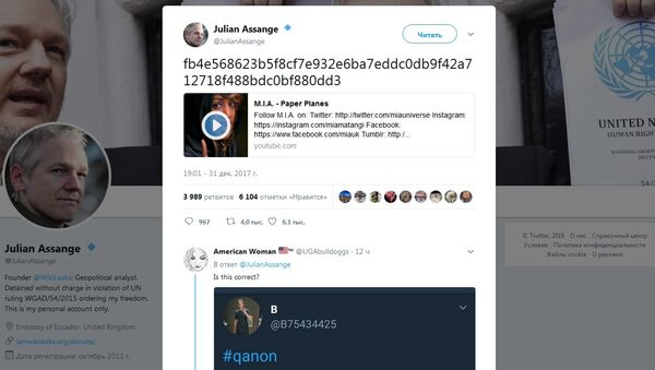 Screenshot of Assange's tweet - Sputnik International