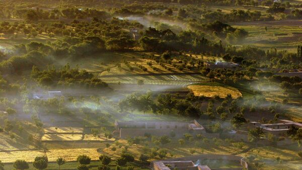 Aerial photo of fields somewhere in Urozgan Province - Sputnik International