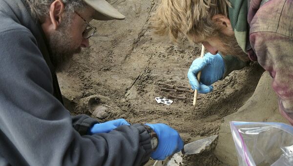 In this Fall 2013 photo released Tuesday, Nov. 11, 2014 by the University of Alaska Fairbanks, professors Ben Potter, left, and Josh Reuther excavate the burial pit at the Upward Sun River site in central Alaska - Sputnik International