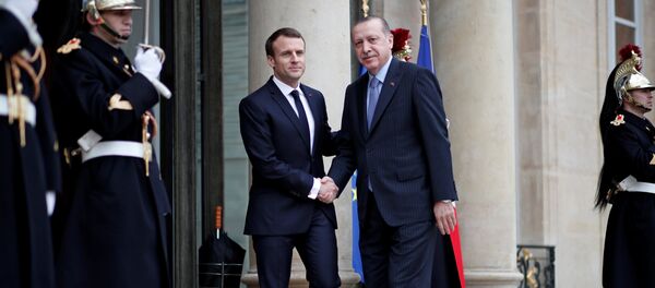 French President Emmanuel Macron welcomes Turkey's President Tayyip Erdogan at the Elysee Palace in Paris, France, January 5, 2018 - Sputnik International