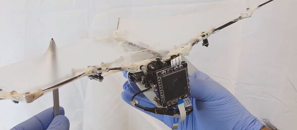 Bat Drone - Sputnik International