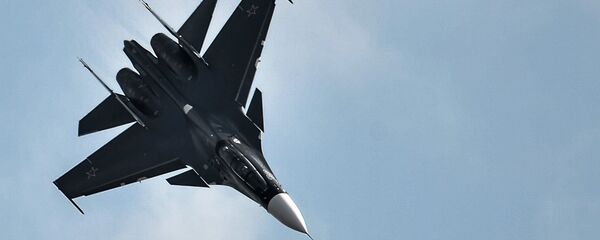 Su-30SM fighter jet. File photo - Sputnik International