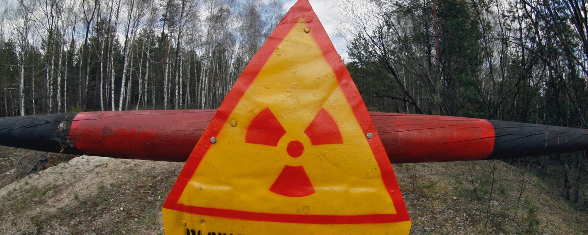 A danger sign in the Khoiniki District, Belarus, within a 30 kilometer restricted zone round the Chernobyl nuclear plant. File photo - Sputnik International, 1920, 07.01.2018