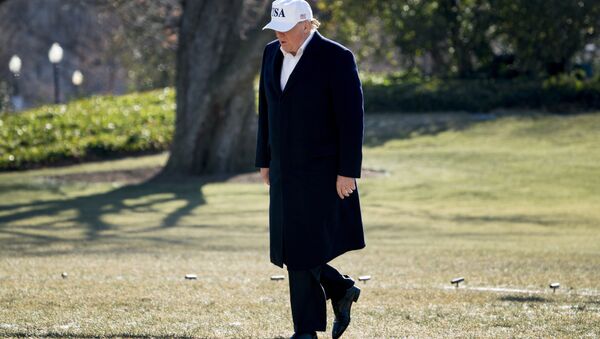 President Donald Trump walks across the South Lawn as he arrives at the White House in Washington, Sunday, Jan. 7, 2018, after traveling from Camp David, Md. - Sputnik International