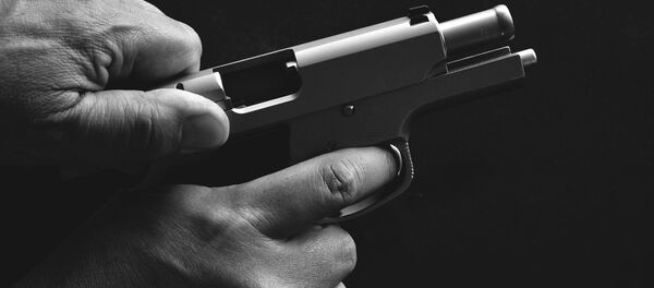 Gun - Sputnik International