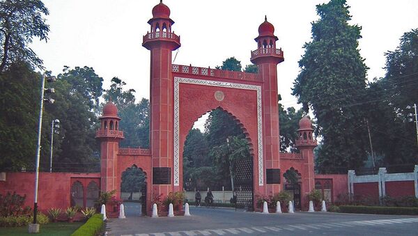  Bab-e-syed, the gateway to Aligarh Muslim University (AMU) - Sputnik International