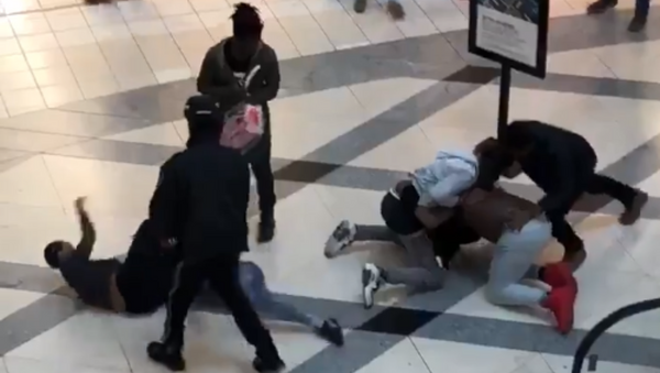 Fight breaks out at Lenox Mall in Atlanta, Georgia - Sputnik International