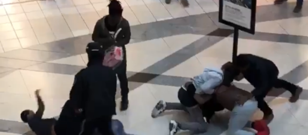 Fight breaks out at Lenox Mall in Atlanta, Georgia - Sputnik International