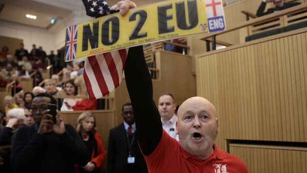 A demonstrator holds a pro-Brexit sign and a U.S. flag, as the speech by the Mayor of London, Sadiq Khan, is interrupted at the Fabian Society New Year Conference, in central London, Britain January 13, 2018 - Sputnik International