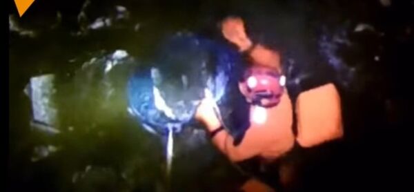 Volunteers Rescued a Seagull - Sputnik International