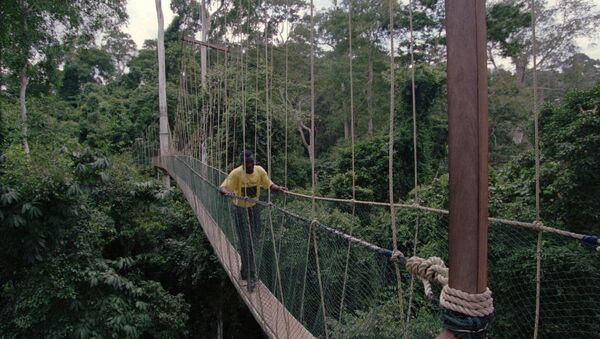 A footbridge over a river in the African country of Ghana - Sputnik International