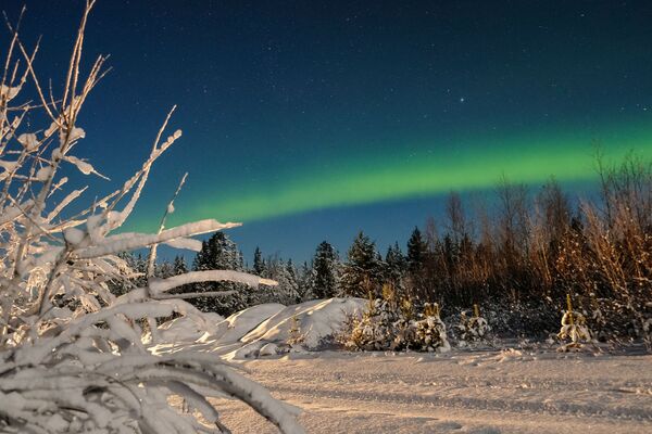 Dancing Northern Lights in Russia's Arctic Port of Murmansk - Sputnik International