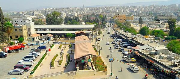 Afrin - Sputnik International