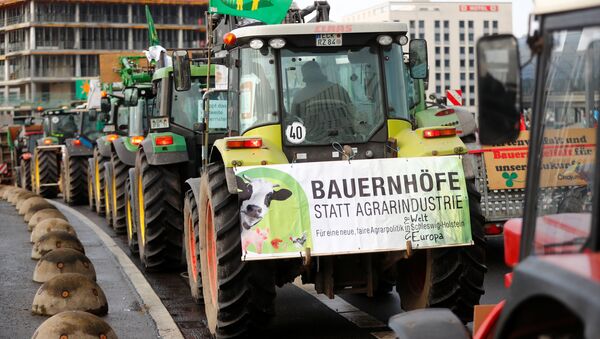 Farmers with tractors protest at the Wir haben es satt (we are fed up) demonstration for more ecological agriculture in Berlin, Germany, January 20, 2018 - Sputnik International