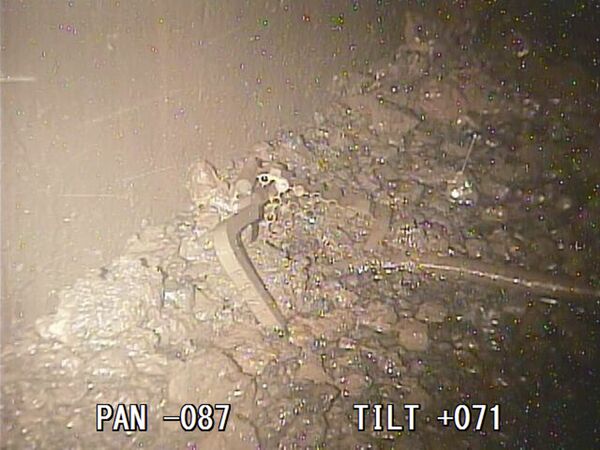 A photo taken by a robotic probe provided by the International Research Institute for Nuclear Decommissioning, Friday, Jan. 19, 2018, shows a part of what is believed to be the handle of the fuel rods container and melted fuel in small lumps scattered on a structure below the Fukushima reactor core A photo taken by a robotic probe provided by the International Research Institute for Nuclear Decommissioning, Friday, Jan. 19, 2018, shows a part of what is believed to be the handle of the fuel rods container and melted fuel in small lumps scattered on a structure below the Fukushima reactor core - Sputnik International