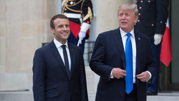 US President Donald Trump's visit to Paris - Sputnik International