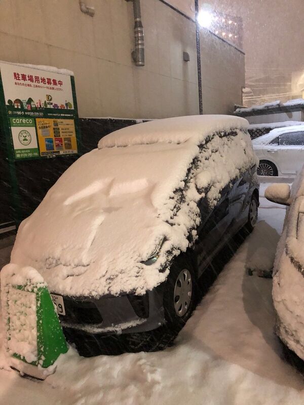 Extreme Weather: Japan Hit by Heavy Snow, Flights Disrupted - Sputnik International