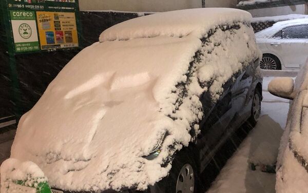 Extreme Weather: Japan Hit by Heavy Snow, Flights Disrupted - Sputnik International